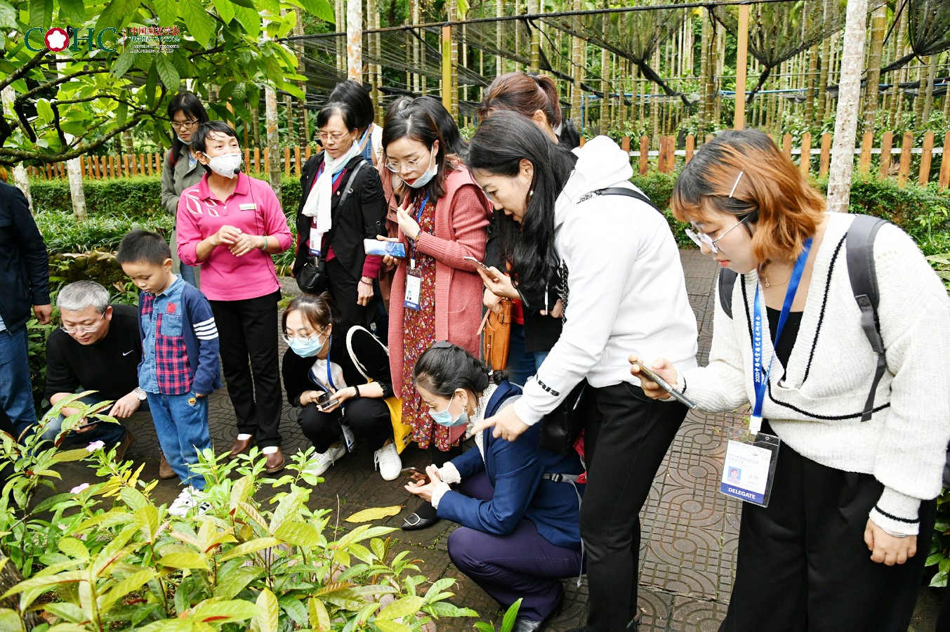 20210107160998856200000448.jpg 万宁兴隆热带植物园专业调研.jpg
